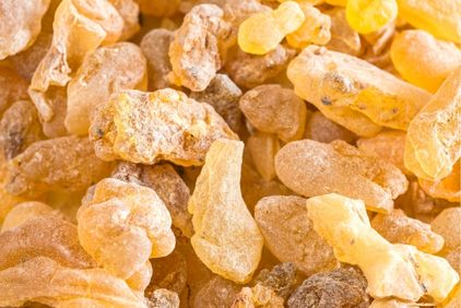 boswellia-definition