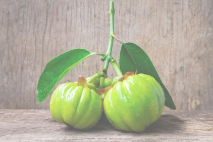 histoire et utilisation de garcinia cambogia