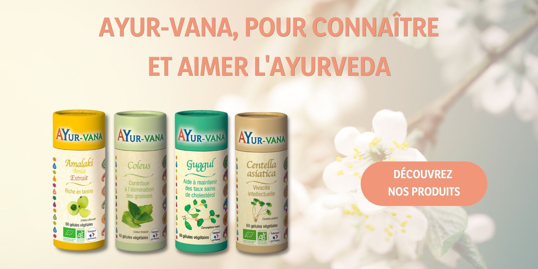 Méfiez-vous de l'arnaque au Acarbose Ordonner Du Vrai