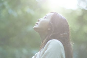 Pourquoi certaines plantes ne peuvent pas être bio comme le Guggul et le Shilajit ? 