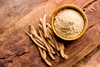Les bienfaits de l'Ashwagandha