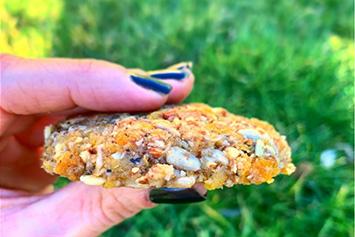 Des biscuits cru VEGAN & SANS GLUTEN