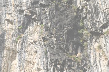 Shilajit d'AYur-vana, extrait d'acide fulvique, énergisant et détoxifiant 