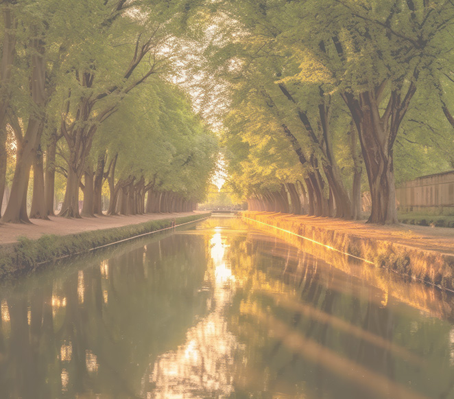 Photo of a canal lined with green trees